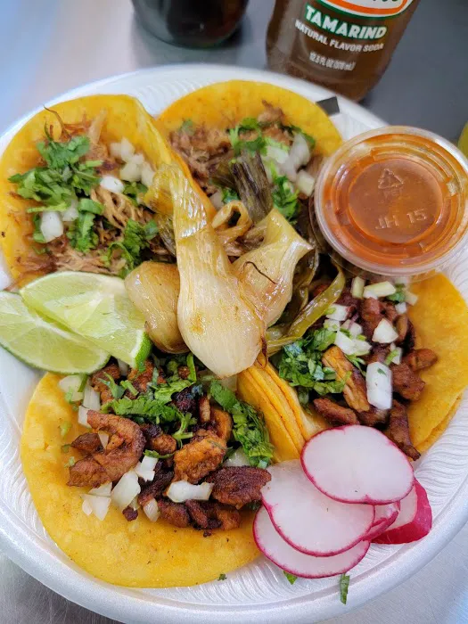 El Señor De Los Tacos Food Truck Picture 7