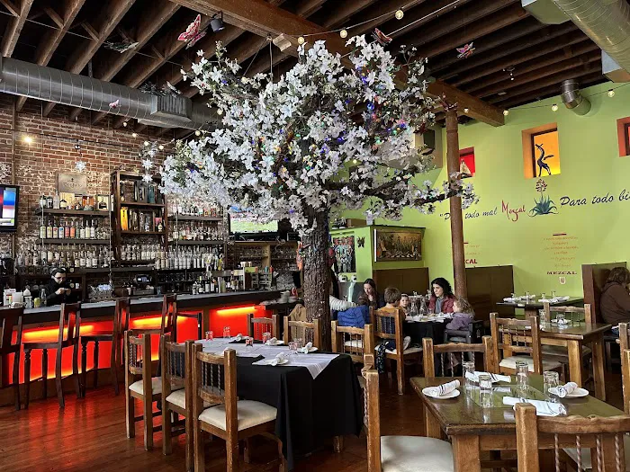 Mezcal Restaurant Picture 9