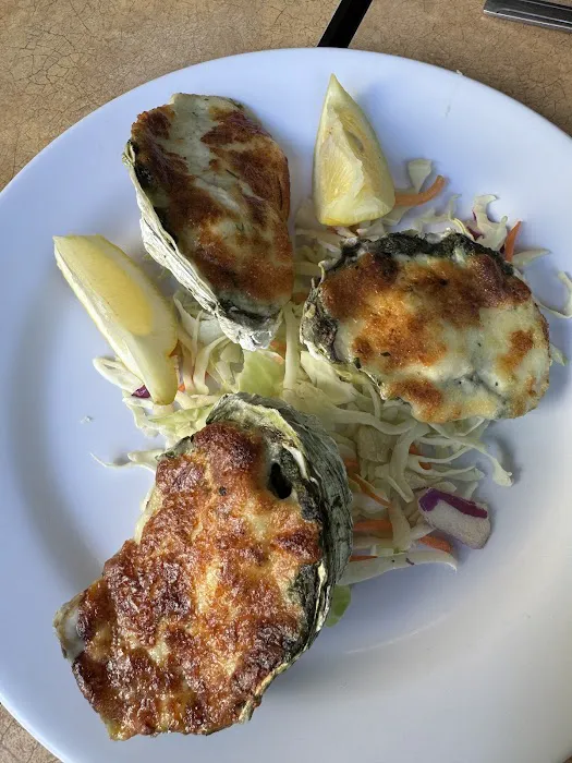 The City Fish Picture 2