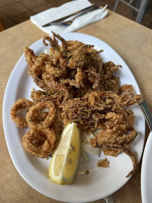 The City Fish Picture 10