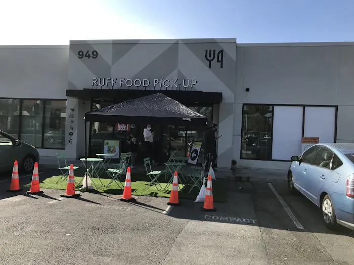 Chicken Paddy Picture 1