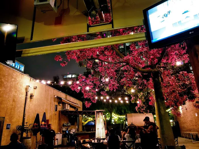 The Old Wagon Saloon & Grill Picture 5