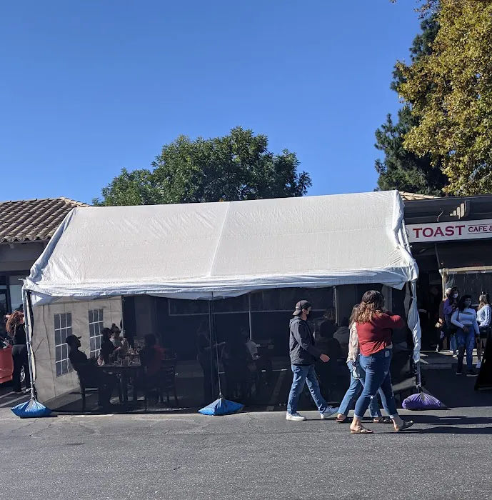 Toast Cafe & Grill Picture 10