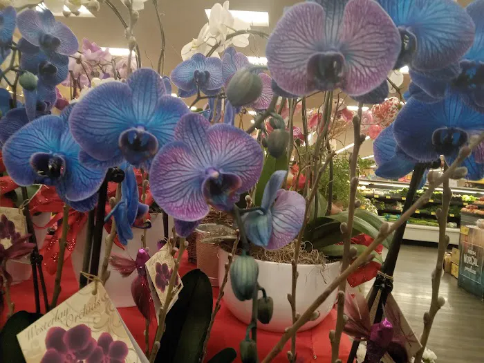 Ricos Tacos El Campeón (el güero) Picture 4