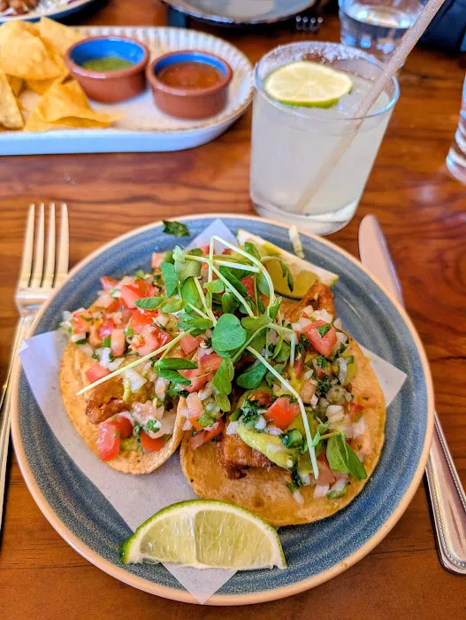 Copita Tequileria y Comida Picture 8