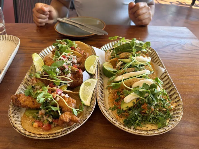 Copita Tequileria y Comida Picture 4