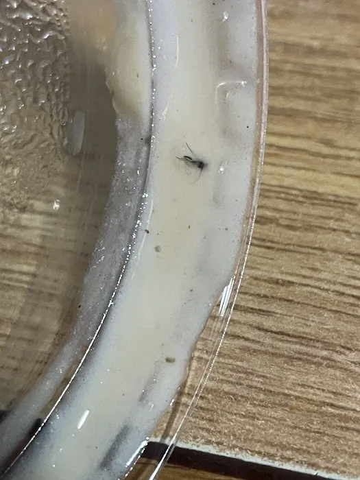 The New Los Mangos Picture 5