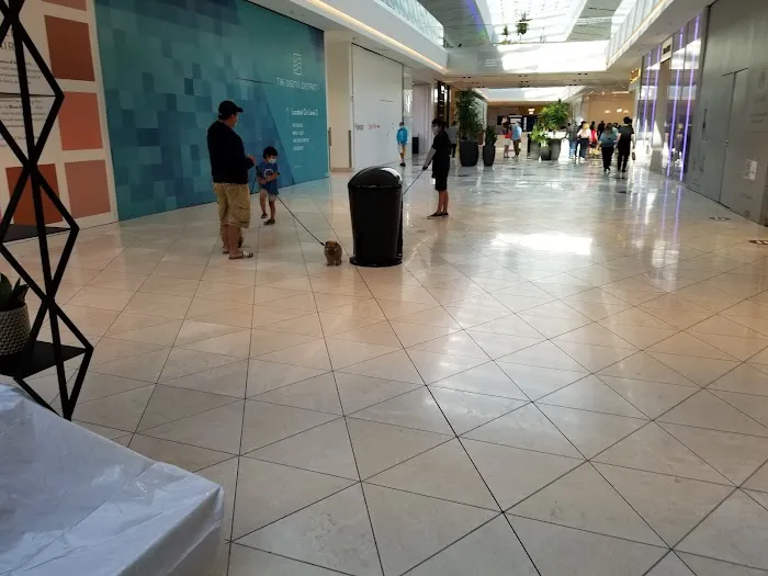 Panda Express Picture 9