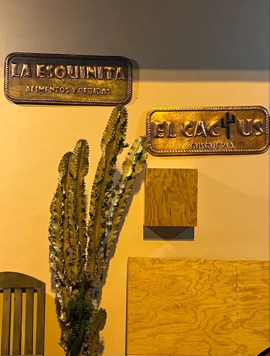 La esquinita cactus Picture 1