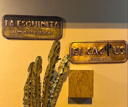 La esquinita cactus