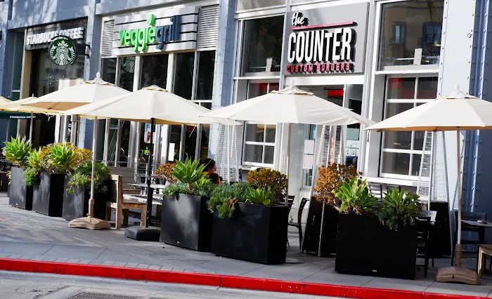 Veggie Grill - Santana Row Picture 2