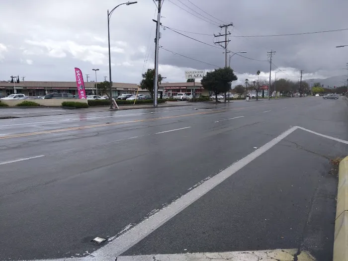 Union Chinese Restaurant Picture 7