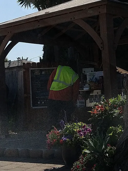 Logan's Big Dawgs Picture 7