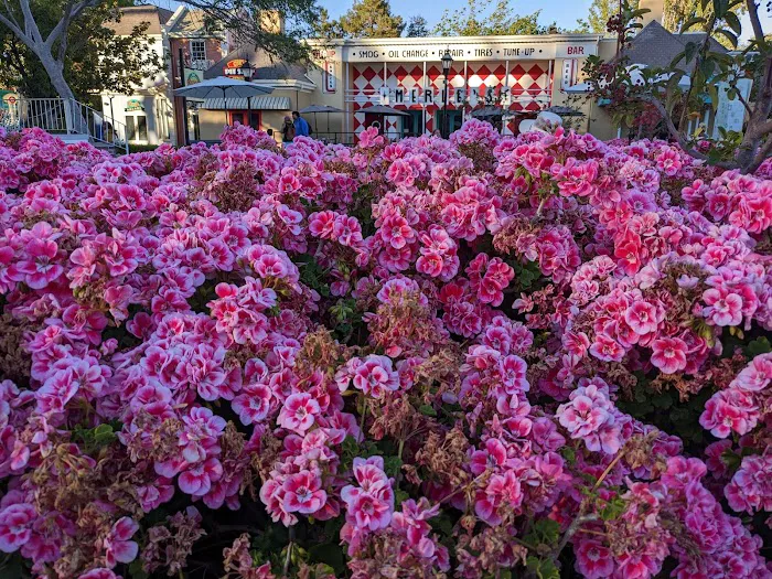 American Cafe Picture 8