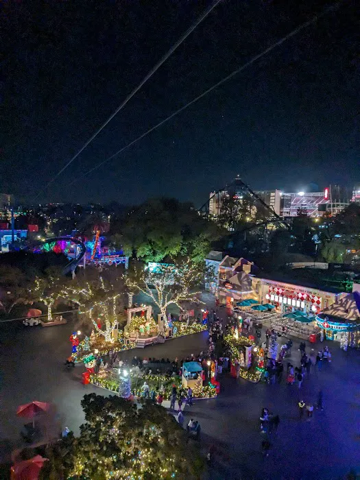 American Cafe Picture 5