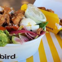 Starbird Chicken ico