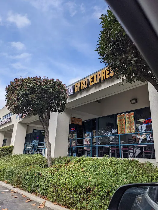 Halal Gyro Express & Kebabs Picture 2