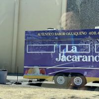 LA JACARANDA OAXAQUENA ico