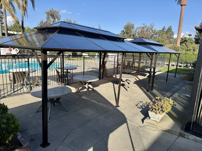 Sifu Wong Kitchen Picture 7