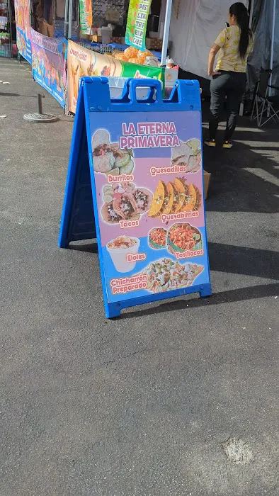 La Eterna Primavera Picture 2