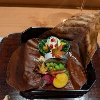 Hashiri Bettei Kaiseki Aoki ico