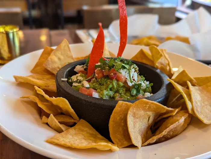 Hercules Draft House & Cantina Picture 2