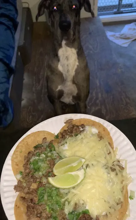 Taco De Oro Taco Truck Picture 2