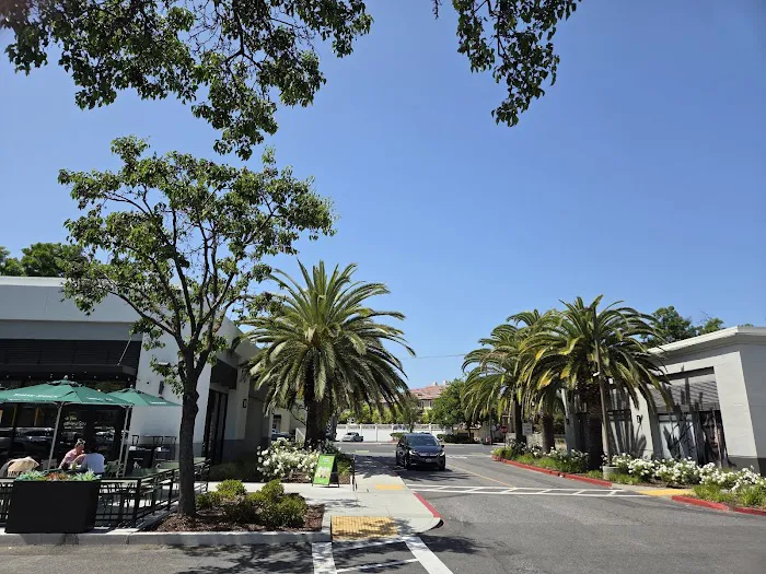 Shake Shack Westgate Picture 4