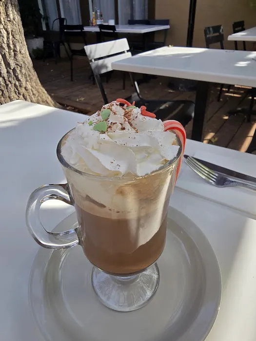 Darla Cafe Picture 4