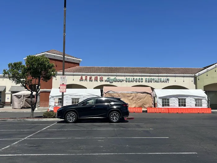 Mayflower Seafood Restaurant Picture 8