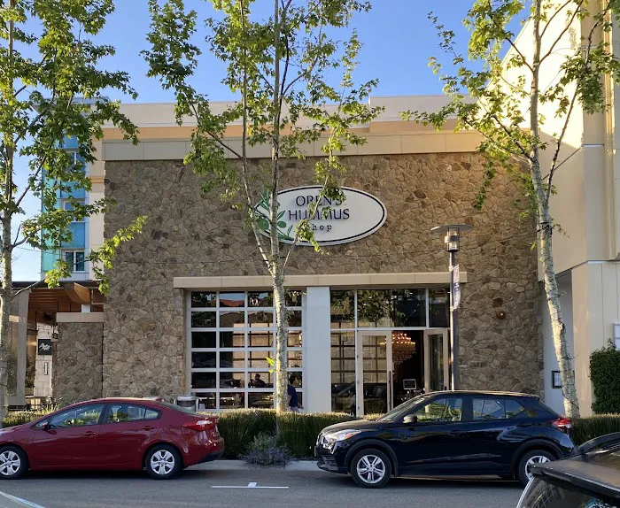 Oren's Hummus Picture 9