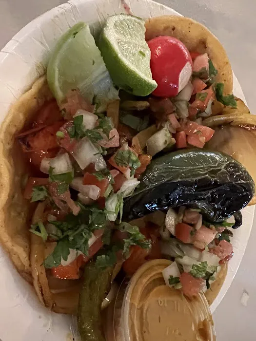 Sonora Taqueria Picture 6