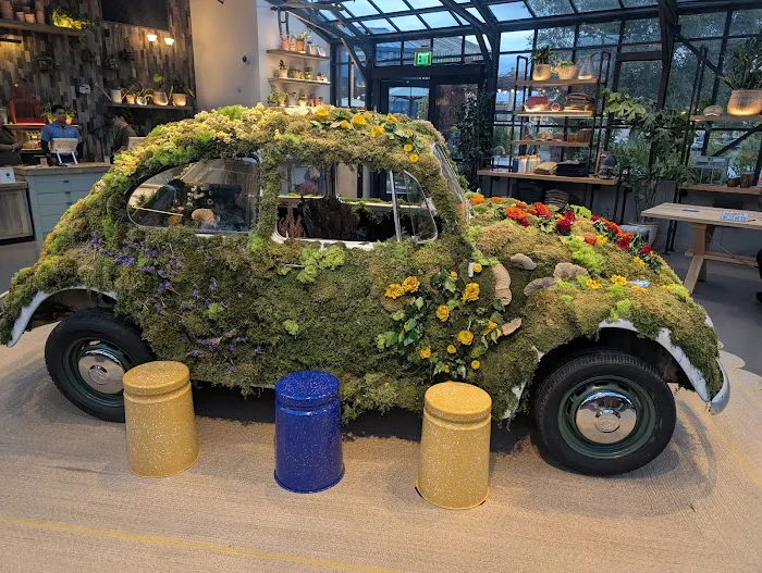 Valley Goat Picture 9