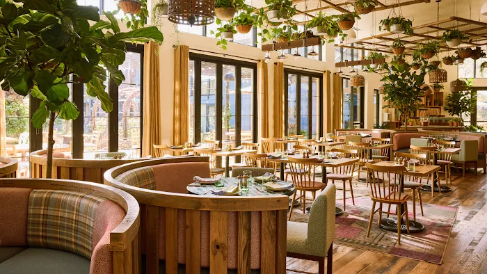 Valley Goat Picture 3