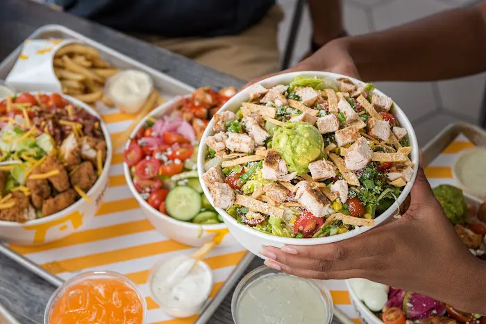 Starbird Chicken Picture 1