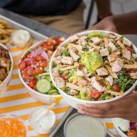 Starbird Chicken ico