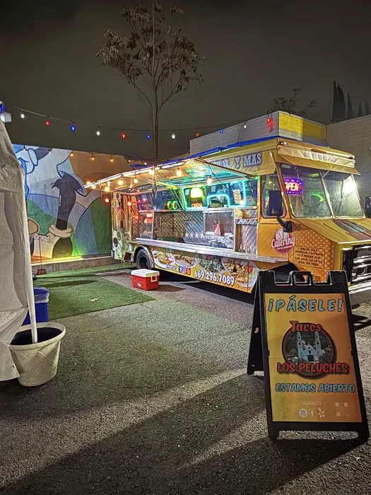 Tacos Los Peluches Picture 4