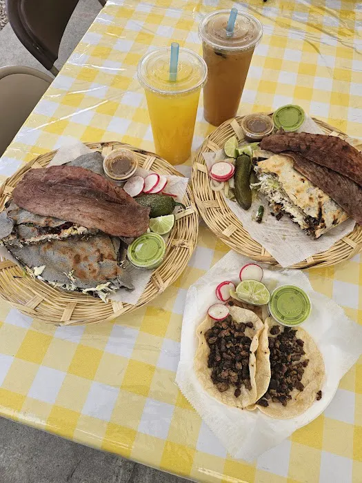 La jacaranda oaxaquena alum rock Picture 1