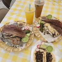 La jacaranda oaxaquena alum rock ico