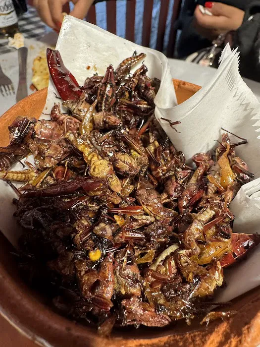 Las 7 Regiones Picture 5