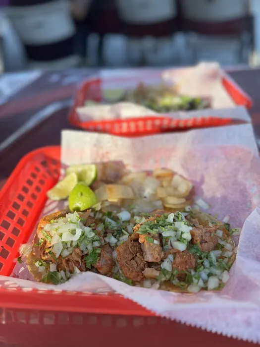 Tacos Los 3 Reyes Tacos Picture 5