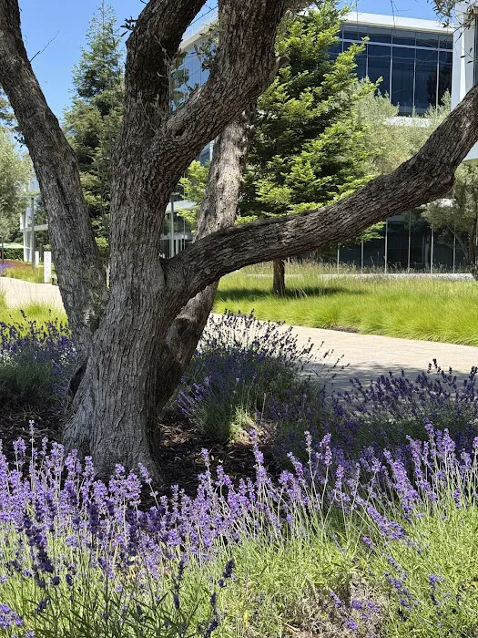 Caffè Macs Pathline Picture 10