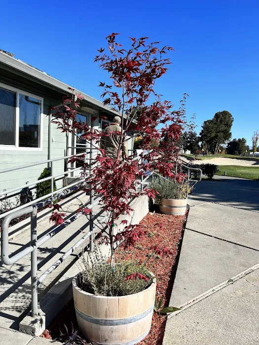 Tee Minus One Bar & Grill Picture 9