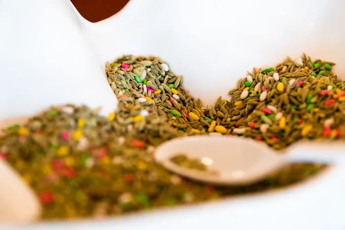 Chaat Cafe Picture 2