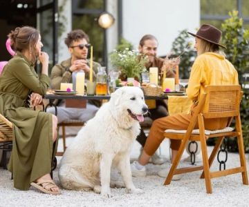 The Best Pet-Friendly Restaurants Open Near Me Today