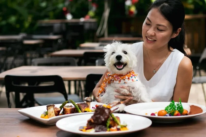 Best Places to Find Late-Night Dining That Are Dog-Friendly and Accept Pets