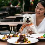 Best Places to Find Late-Night Dining That Are Dog-Friendly and Accept Pets
