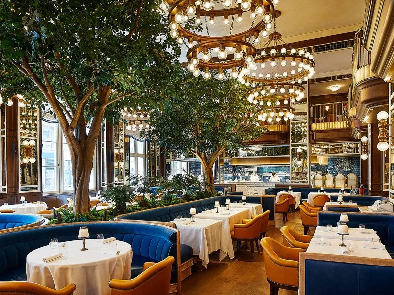 Top New Restaurants in New York City