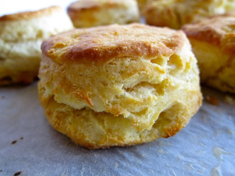Most Popular Southern Biscuits in the US - A Guide to Southern Favorites