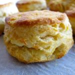 Most Popular Southern Biscuits in the US - A Guide to Southern Favorites